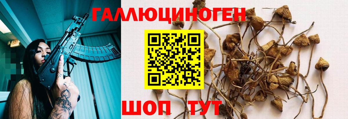 Псилоцибиновые грибы Psilocybine cubensis  Галлюциногенные грибы Magic Shrooms  Канаш  Вход с VPN 