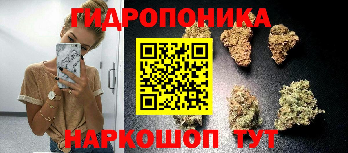 МАРИХУАНА семена Канаш